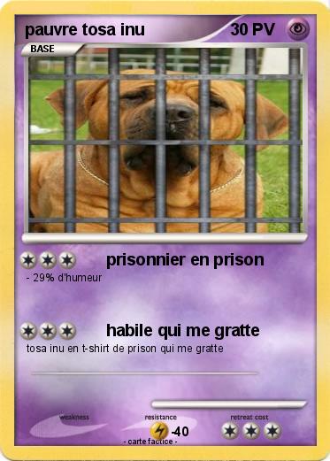 Pokemon pauvre tosa inu