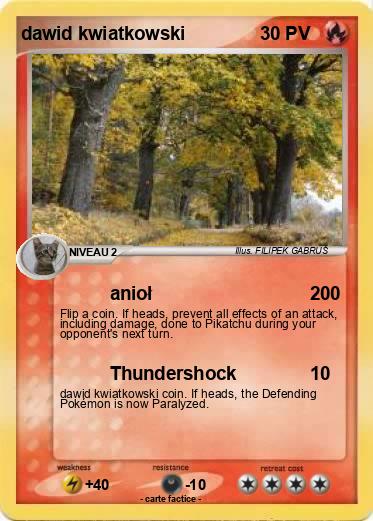Pokemon dawid kwiatkowski