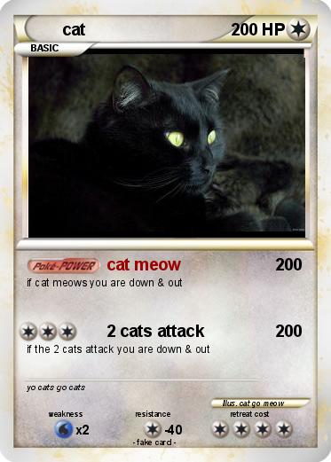 Pokemon cat