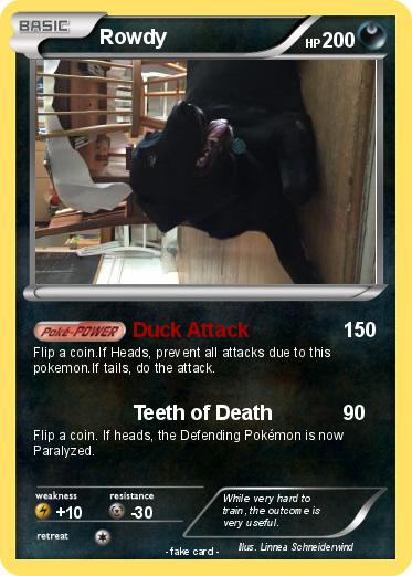 Pokemon Rowdy