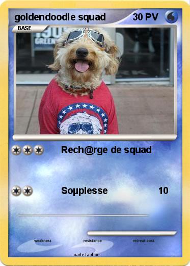 Pokemon goldendoodle squad