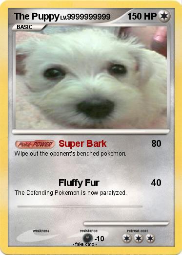 Pokemon The Puppy