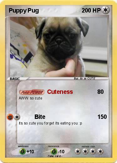 Pokemon Puppy Pug