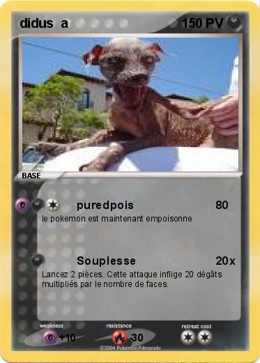 Pokemon didus  a