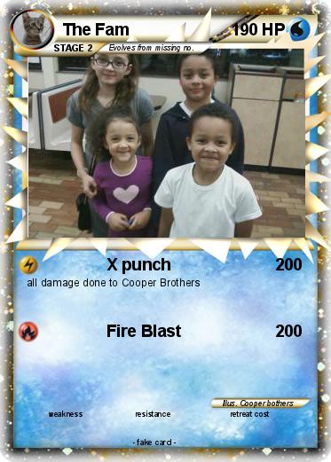 Pokemon The Fam