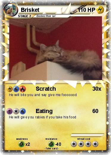 Pokemon Brisket