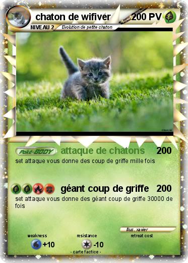 Pokemon chaton de wifiver