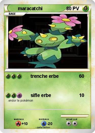 Pokemon maracatchi