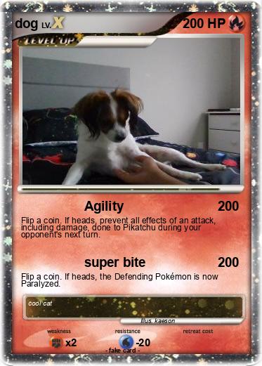 Pokemon dog