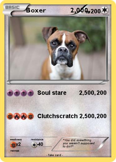 Pokemon Boxer             2,000,