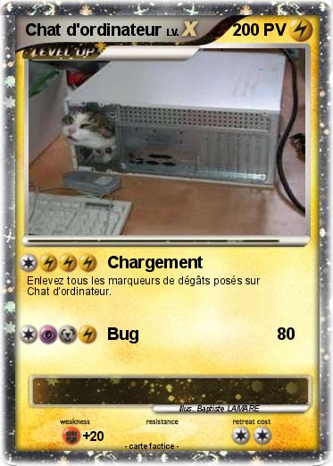 Pokemon Chat d'ordinateur