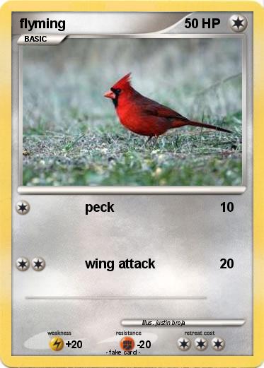 Pokemon flyming