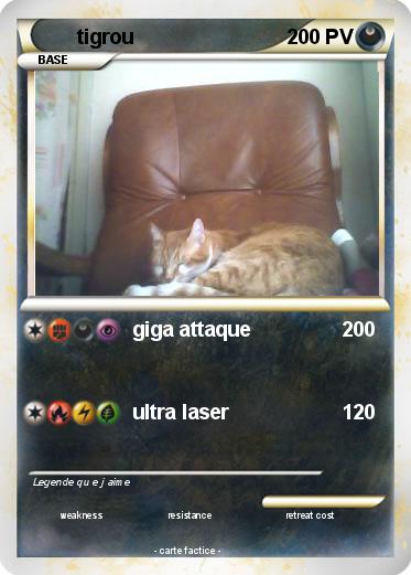 Pokemon tigrou