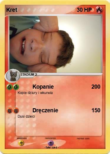 Pokemon Kret