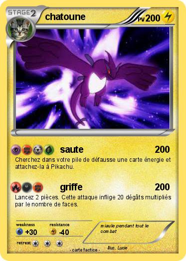 Pokemon chatoune