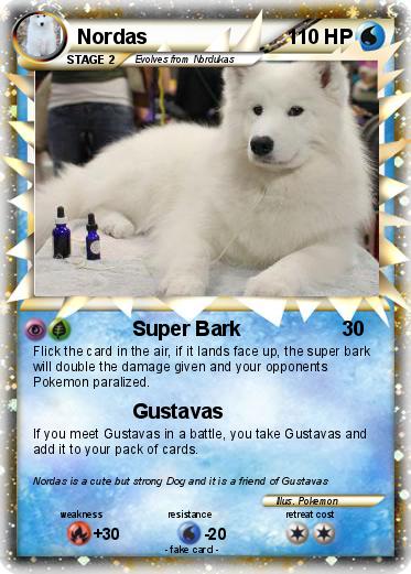 Pokemon Nordas