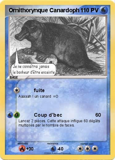 Pokemon Ornithorynque Canardoph