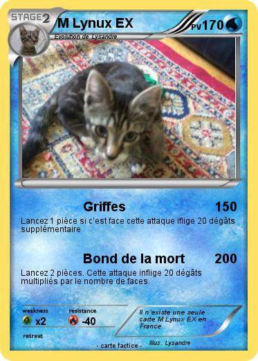 Pokemon M Lynux EX