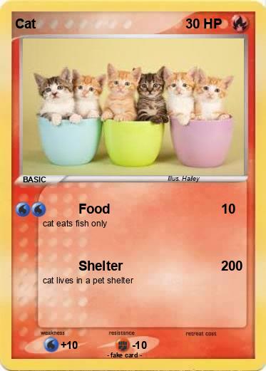 Pokemon Cat