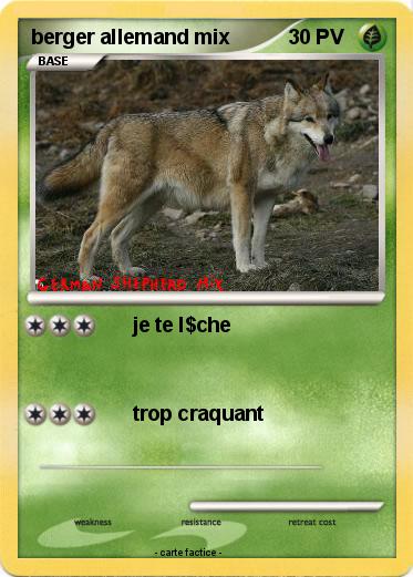 Pokemon berger allemand mix