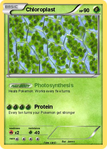 Pokemon Chloroplast