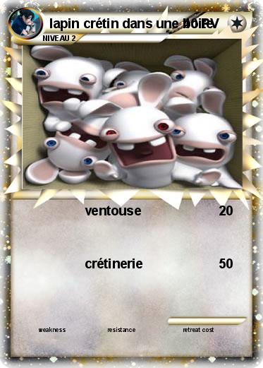 Pokemon lapin crétin dans une boite