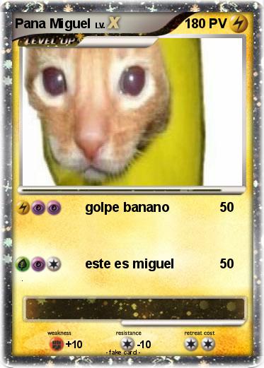 Pokemon Pana Miguel