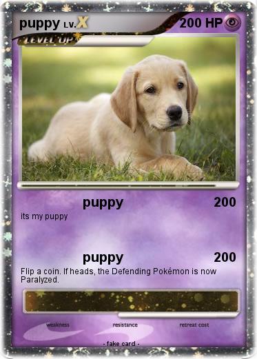 Pokemon puppy