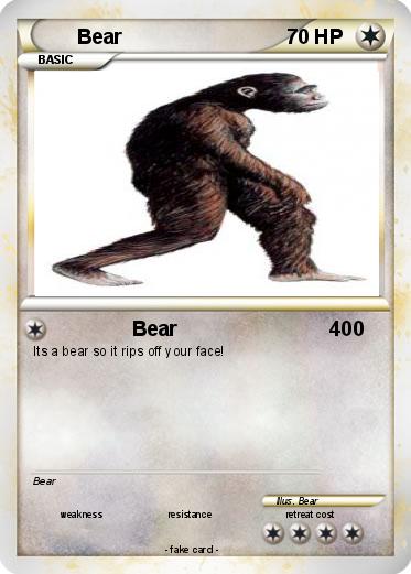 Pokemon Bear