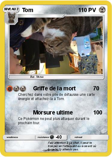 Pokemon Tom