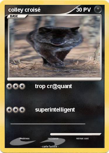 Pokemon colley croisé