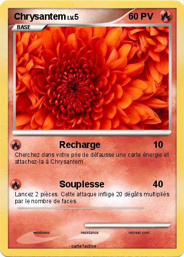 Pokemon Chrysantem