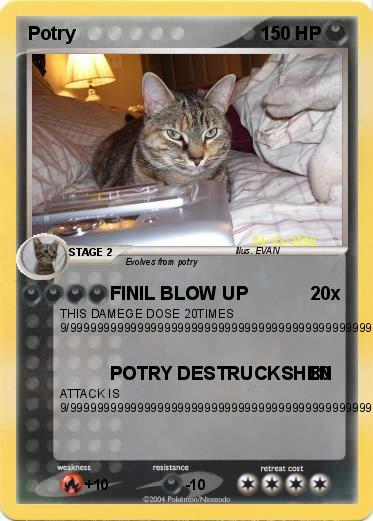 Pokemon Potry