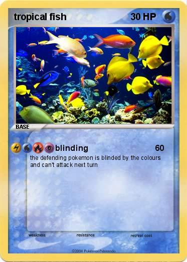 Pokemon tropical fish