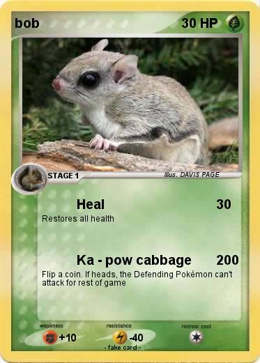 Pokemon bob