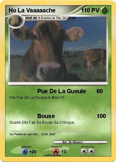 Pokemon Ho La Vaaaaache