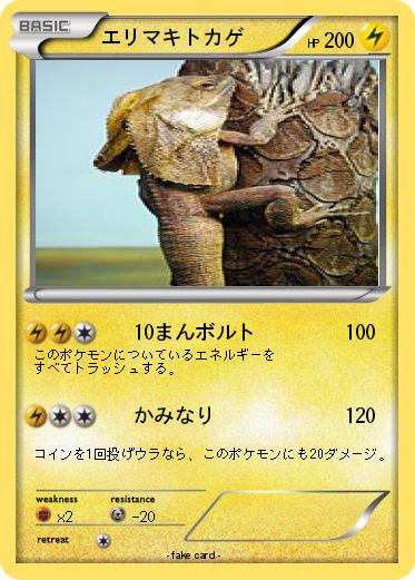 Pokemon エリマキトカゲ