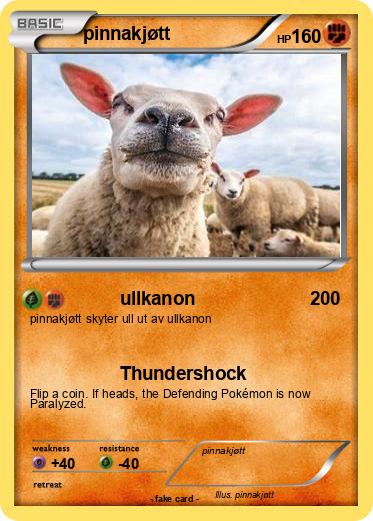 Pokemon pinnakjøtt