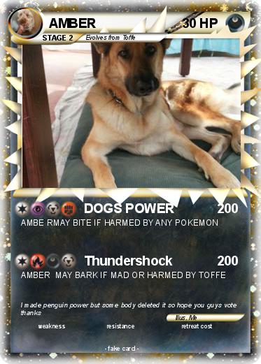 Pokemon AMBER