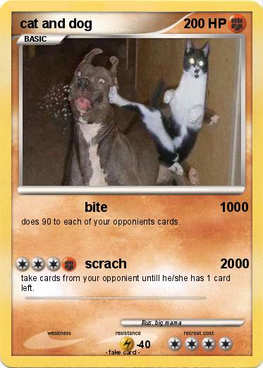 Pokemon cat and dog