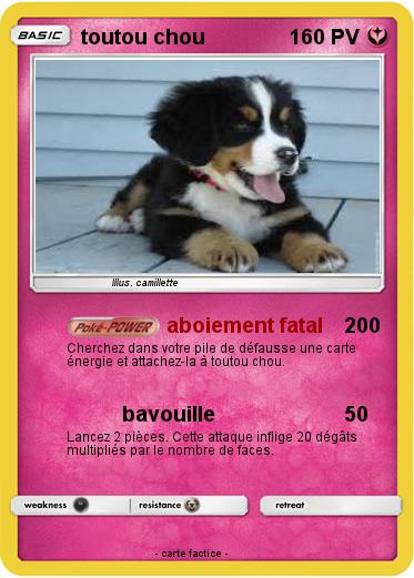 Pokemon toutou chou
