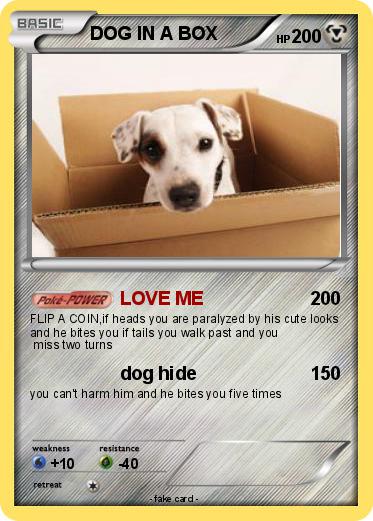 Pokemon DOG IN A BOX
