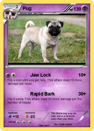 Pokemon Pug
