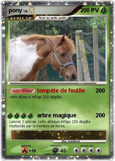 Pokemon pony