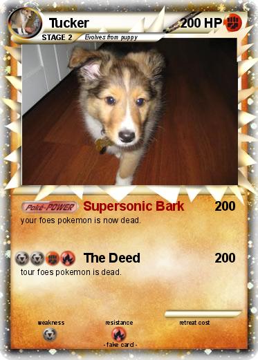 Pokemon Tucker
