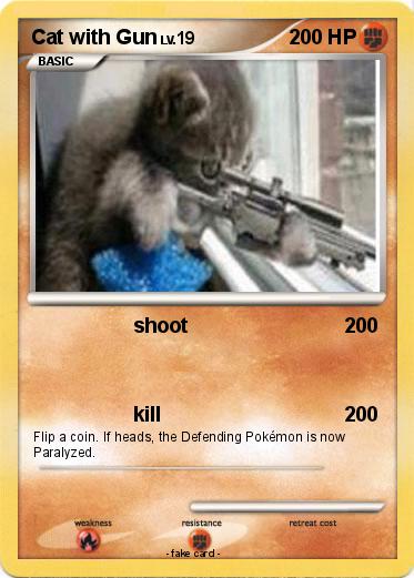 Pokemon Cat with Gun