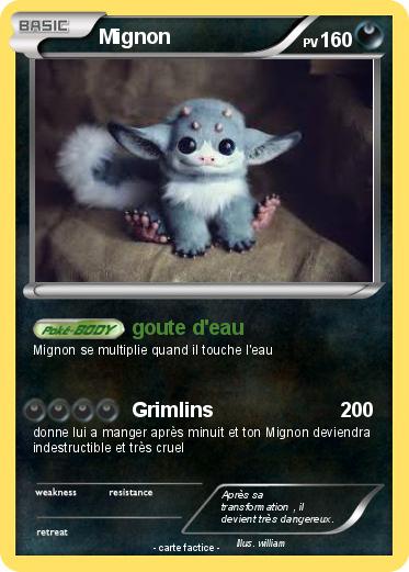 Pokemon Mignon