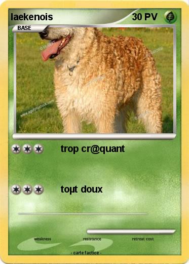 Pokemon laekenois