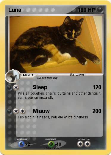Pokemon Luna