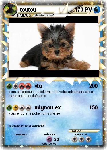 Pokemon toutou